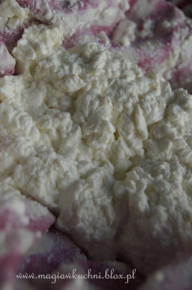 Domowy ser ricotta  