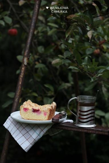 Wegańskie ciasto drożdżowe z jabłkami, żurawiną i cynamonową kruszonką